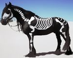  black black_fur black_hair bone bridle desert equine fur hair horse male mammal mane painted reins skeleton standing 