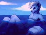  blue_fur cloud clouds falvie fur hair looking_at_viewer male mammal nude skunk sky solo toned water wet white_hair 