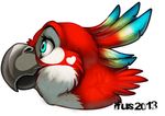  &lt;3 ambiguous_gender avian beak bird cute feral ifus macaw parrot plain_background rainbow red_feathers solo white_background 