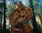  balls bear brown erection forest fur grin grizzly invalid_tag muscles nipples penis tree unknown_artist 