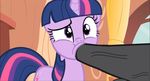  animated cum cum_from_nose cum_in_nose equine female feral friendship_is_magic horse horsecock killmaster227 mammal my_little_pony penis pony twilight_sparkle_(mlp) 
