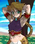  breath_of_fire breath_of_fire_ii lowres rinpoo_chuan 