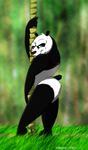  anthro bear dreamworks fabfelipe kung_fu_panda male mammal muscles nude panda po pose solo 