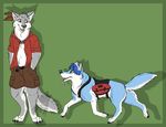  canine dog feral friends husky lonewolf mammal wachhund wolf wulfer 