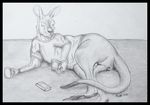  book coffee eyewear foxia glasses greyscale kangaroo male mammal marsupial monochrome pencils reading solo 