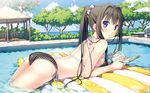 :o alternate_hairstyle arm_support ass ayase_sayuki beach_umbrella bikini black_hair blue_eyes blush book breast_press bush chair cloud cube day gazebo hair_intakes highres inflatable_raft kantoku long_hair looking_at_viewer looking_back lounge_chair lying non-web_source on_stomach parted_lips polka_dot polka_dot_bikini polka_dot_scrunchie polka_dot_swimsuit ponytail pool scrunchie side-tie_bikini sky solo strap_gap swimsuit tree umbrella water wet your_diary 