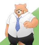  2019 ailurid anthro clothing humanoid_hands kusunokisippo male mammal necktie overweight overweight_male pants red_panda shirt simple_background solo 
