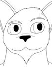  absurd_res anthro beard black_and_white black_nose canine diego dog face facial_hair fur hi_res looking male monochrome raised_eyebrow slnotar 