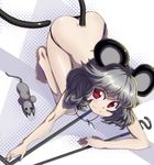  all_fours animal_ears barefoot black_panties commentary_request dowsing_rod feet from_above grey_hair highres jewelry light_smile looking_up mouse mouse_ears mouse_tail nazrin panties pendant red_eyes shope short_hair solo tail topless touhou underwear 