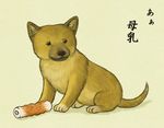  animal_focus bad_id bad_pixiv_id copyright_request dog food lowres no_humans puppy shiba_inu translated 