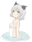  animal_ears bad_id bad_pixiv_id blush dust_box green_eyes nude partially_submerged sanya_v_litvyak short_hair silver_hair solo strike_witches towel water wet world_witches_series 