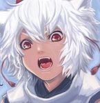  @_@ animal_ears bad_id bad_pixiv_id face fangs hat highres hoshitetsu_ringo inubashiri_momiji open_mouth red_eyes solo tokin_hat touhou white_hair wolf_ears 