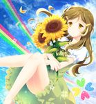  brown_hair dress flower hair_ornament hairclip kokuro legs long_hair rainbow shinomiya_himawari solo sunflower vividred_operation yellow_eyes 