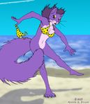  amethyst_du_sciur beach bikini bottomless breasts brown_eyes clothing cybercorn_entropic female fur hair mammal open_mouth purple_fur purple_hair rodent sea seaside squirrel swimsuit tight_clothing wardrobe_malfunction water 