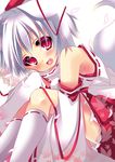  animal_ears bare_shoulders blush detached_sleeves fang hat hikanyan inubashiri_momiji kneehighs leg_hug looking_at_viewer open_mouth petals red_eyes short_hair silver_hair smile solo tail tokin_hat touhou white_hair white_legwear wolf_ears wolf_tail 