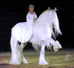  beauty beautyful equine hair hairy horn horse human illusion_crystal invalid_tag lady majestic owned_by_knight_haven real riding show unicorn white white_dress 