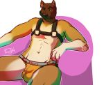  2015 akita anthro brown_eyebrows brown_fur brown_nose bulge canine clothed clothing digital_media_(artwork) dog eyebrows front_view fur harness hurst jockstrap looking_at_viewer male mammal multicolored_fur orange_bottomwear orange_clothing orange_underwear rokemi signature simple_background sitting solo tan_fur underwear white_background yellow_eyes 