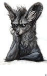  &#3232;_&#3232; ambiguous_gender bat-eared_fox canine ear_piercing fennec fox grey_eyes grumpy ixixix looking_at_viewer mammal piercing solo 