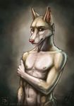  anthro bare_chest canine cute dingo fur imiak looking_at_viewer male mammal muscles nipples nude peachez pecs portrait pose red_eyes shy solo 