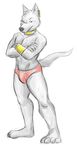  briefs bulge canine collar ear_piercing jackal male mammal piercing raised_eyebrow solo toned topless underwear 