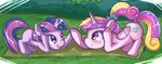  bush cutie_mark duo equine female feral friendship_is_magic grass hair horse hua113 mammal multi-colored_hair my_little_pony outside pony princess_cadance_(mlp) purple_eyes twilight_sparkle_(mlp) young 
