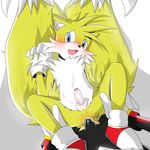  anal_penetration anthro balls black black_fur blue_eyes blush canine cum cum_in_ass cum_inside duo erection fox fur gay gloves hedgehog humanoid_penis ketzio11 looking_at_viewer lying male mammal miles_prower missionary_position on_back open_mouth penetration penis sega sex shadow_the_hedgehog shoes sonic_(series) uncut 