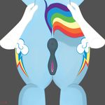  anatomically_correct_pussy animal_genitalia anus blue_fur butt butt_shot clitoris close-up cutie_mark equine equine_pussy female feral friendship_is_magic fur hair horse liquidrarity mammal multi-colored_hair my_little_pony nude plain_background pony presenting presenting_hindquarters presenting_pussy pussy rainbow_dash_(mlp) rainbow_hair solo 