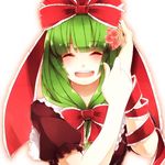  arm_ribbon bad_id bad_pixiv_id bow closed_eyes flower frills front_ponytail green_hair hair_bow hair_flower hair_ornament hair_ribbon kagiyama_hina lowres open_mouth ribbon sayuma short_sleeves smile solo touhou 