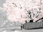  cherry_blossoms copyright_request emukami perspective road scenery school_uniform serafuku solo street tree 