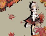  ahoge autumn bucket detached_sleeves fang hat hato_haru inubashiri_momiji leaf sandals short_hair silver_hair skirt solo tail tokin_hat touhou water wolf_tail yellow_eyes 