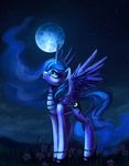  beads blue_eyes cool_colors cutie_mark equine female feral flower friendship_is_magic hair horn horse looking_up mammal moon multi-colored_hair my_little_pony night nyarmarr pony princess_luna_(mlp) shoes stars winged_unicorn wings 