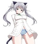  animal_ears aqua_eyes arms_behind_back cameltoe cat_ears cat_tail choker cosplay francesca_lucchini francesca_lucchini_(cosplay) hair_ribbon long_hair muchabou panties ribbon sanya_v_litvyak silver_hair simple_background solo strike_witches striped striped_panties tail twintails underwear white_background world_witches_series 