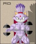  biceps blaze_the_cat bodybuilder breasts cat feline female invalid_tag looking_at_viewer mammal muscles muscular_female navel seat sega smile sonic_(series) unknown_artist weights workout 