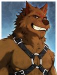  anthro biceps bondage_gear brown_eyes brown_fur brown_nose canine clenched_teeth ear_piercing fangs fur grin harness leathers looking_at_viewer male mammal muscles nipples pecs piercing pose red_fur scar smile solo teeth topless wolf 