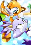  blue_eyes cat crossed_arms feline female mammal marine_the_raccoon one_eye_closed raccoon sega sonic_(series) unichrome wink yellow_eyes 