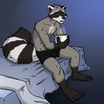  anthro bed boxer_briefs bulge coffee male mammal raccoon sleepy solo tired topless underwear 