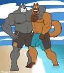  abs anthro beach bicep biceps big_muscles canine dane dog duo fur great great_dane hound hound_(character) houndgrey looking_at_viewer male mammal muscles oso pecs photo pro seaside smile standing trunks_(clothing) wrestler 