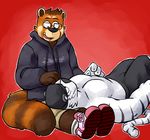  biceps big_muscles chubby clothing duo eyewear feline fur glasses hoodie male mammal muscles pecs red_panda sitting tiger vasuki white_fur white_tiger 