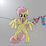  equine female feral fluttershy_(mlp) friendship_is_magic horse line_art looking_at_viewer mammal my_little_pony nude panties pegasus plain_background pony pussy rainbow_(artist) socks solo teats underwear white_background wings 