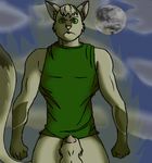  &gt;:( anthro balls boby bottomless clothed clothing drawing evil face half-dressed looking_at_viewer male moon outside penis penis_tip portrait sex sheath slit_pupils solo 