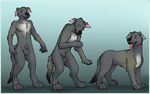  anthro balls canine dog feral fur gradient_background grey_fur male mammal nude penis sheath solo standing tongue tongue_out transformation 