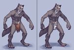  abs animal_genitalia balls biceps black_nose boulevard bulge canine canine_penis claws clothing digitigrade flaccid fur green_eyes grey_fur hindpaw loincloth looking_at_viewer male mammal model_sheet muscles necklace nude paws pecs penis penis_tip plain_background pose sheath solo standing thundergrey toe_claws toes topless underwear white_fur wolf 