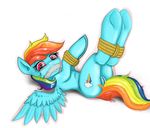  bondage bound equine female feral friendship_is_magic gag hair horse justpony looking_at_viewer lying mammal multi-colored_hair my_little_pony on_back pegasus plain_background pony pussy rainbow_dash_(mlp) rainbow_hair rope solo teeth white_background wings 