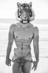  abs beach biceps feline fur hair half_nude looking_at_viewer male muscles naval nipples outside pecs pubes sand sea seaside skin speedo standing tiger underwear water whiskers 