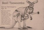  kangaroo male mammal marsupial model_sheet monochrome solo 