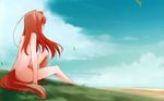  absurdres animal_ears ayakura_juu barefoot blue_sky brown_hair cloud day field highres holo huge_filesize long_hair nude scan sitting sky solo spice_and_wolf tail wolf_ears wolf_tail 