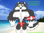  anthro beach biceps bulge canine dog green_eyes humor husky lifeguard male mammal muscles pecs seaside solo speedo swimsuit tristanbeaner underwear vein what 