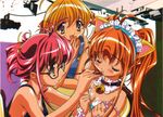  animal_ears bell blush cat_ears collar gensho_sugiyama glasses orange_hair pink_hair sugiyama_genshou 