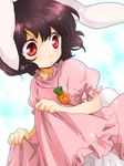  animal_ears bloomers brown_hair bunny_ears bunny_tail carrot dress dress_lift inaba_tewi jewelry machiko_(beard) pendant red_eyes short_hair solo tail touhou underwear white_bloomers 
