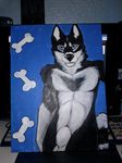  balls canine dog dog-bone husky looking_at_viewer male mammal nude painting photo real_media sheath solo 